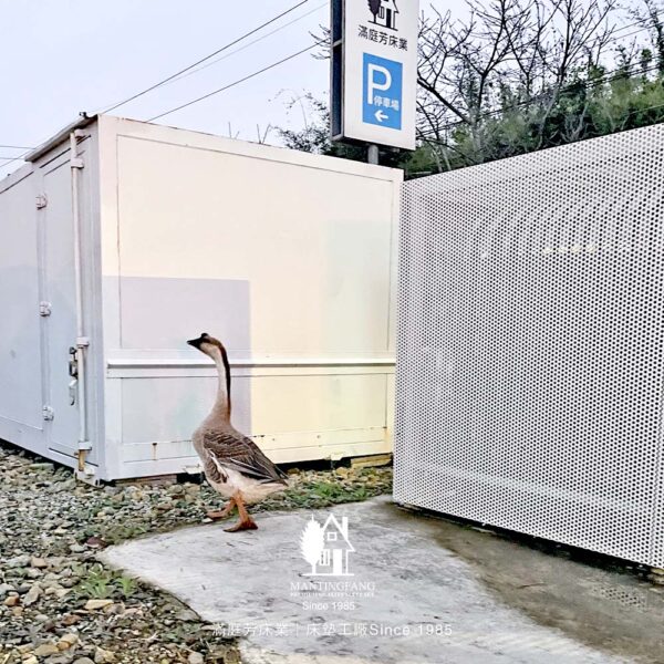 大鵝 滿庭芳 床墊工廠