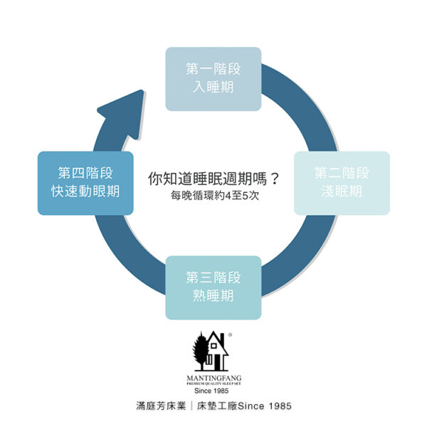 睡眠品質 大腦活動 做夢與睡眠