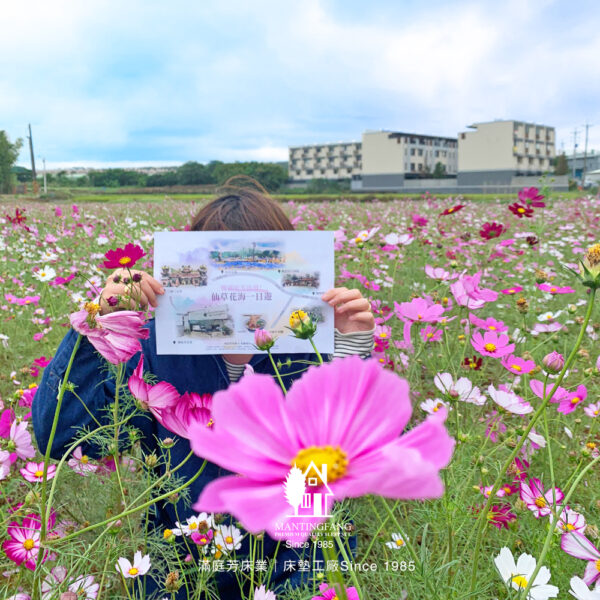 楊梅 香草 花海節